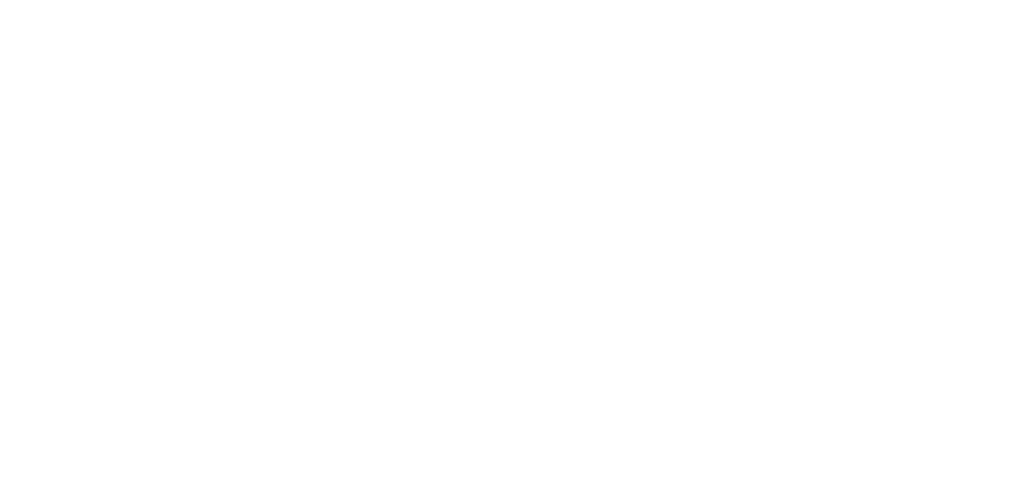 30th anniversary logo white
