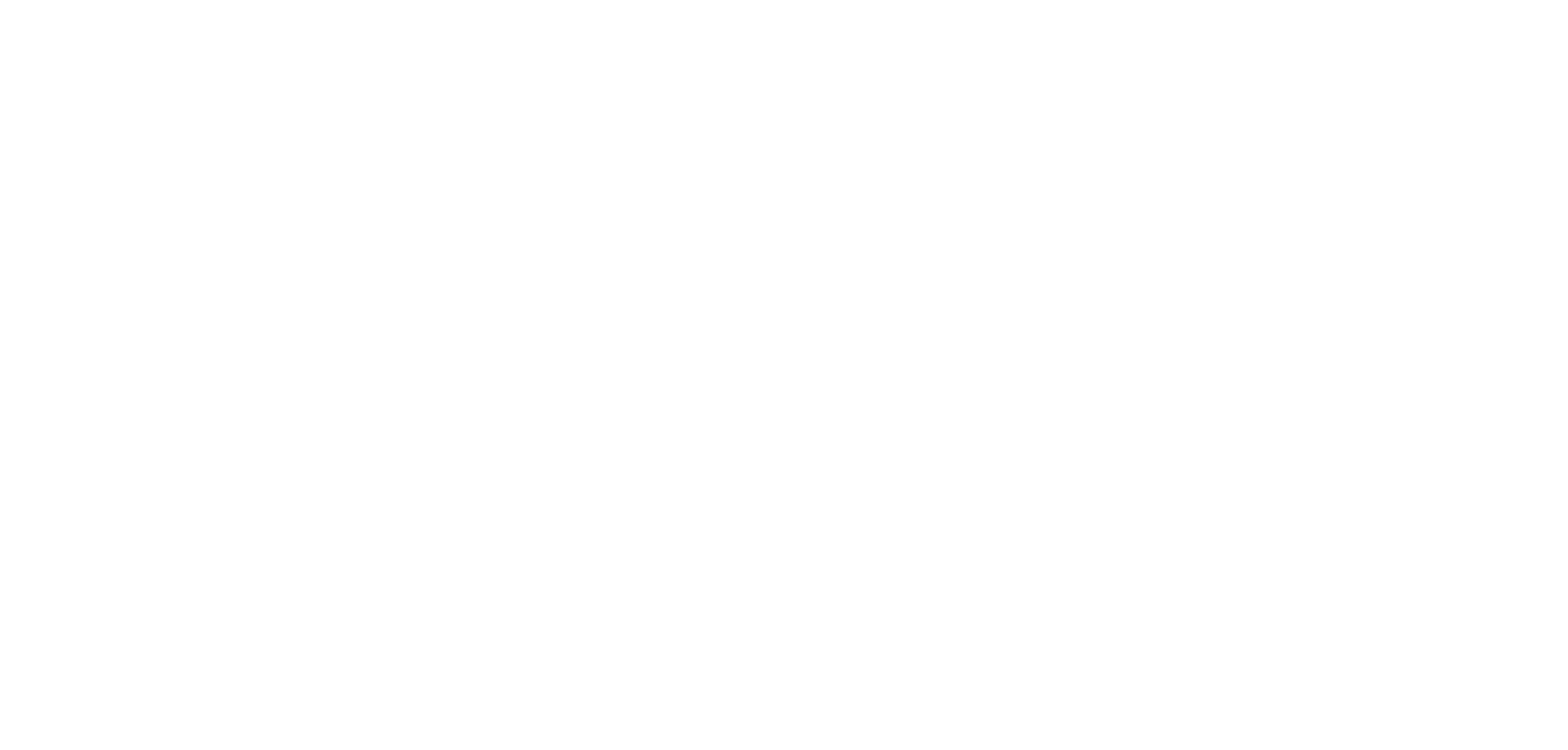 30th anniversary logo white